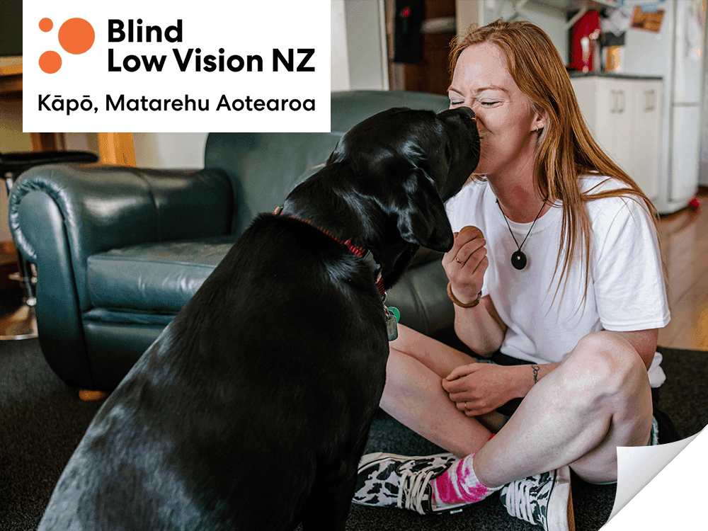 Blind Low Vision New Zealand