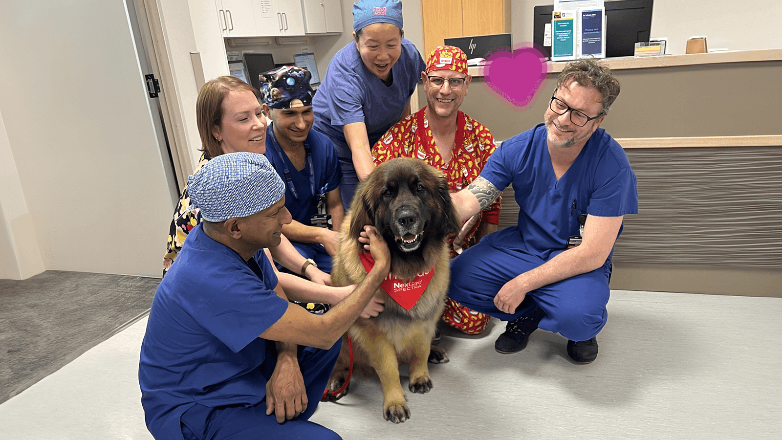 Canine Friends Pet Therapy