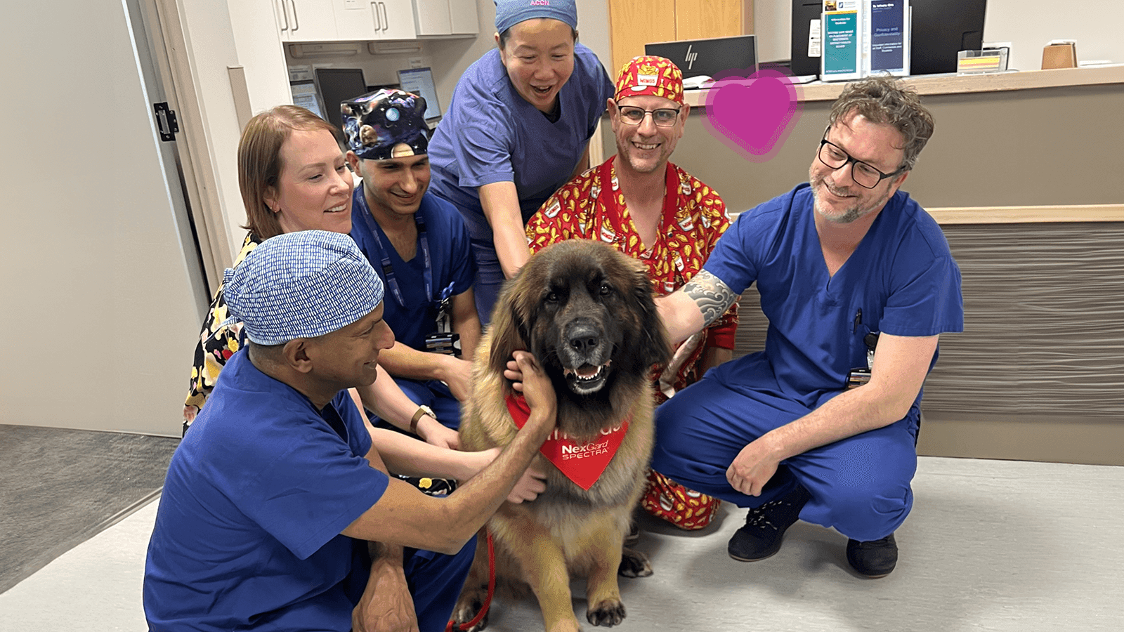 Dogs for First Responders