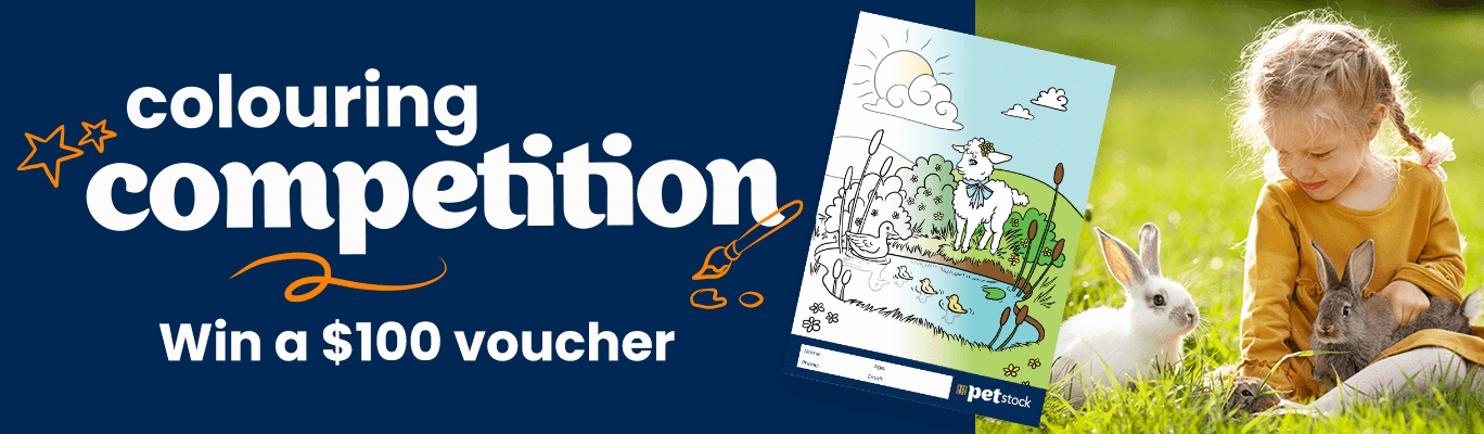 plam280-nz-spring-school-holidays-promobanner@2x.png